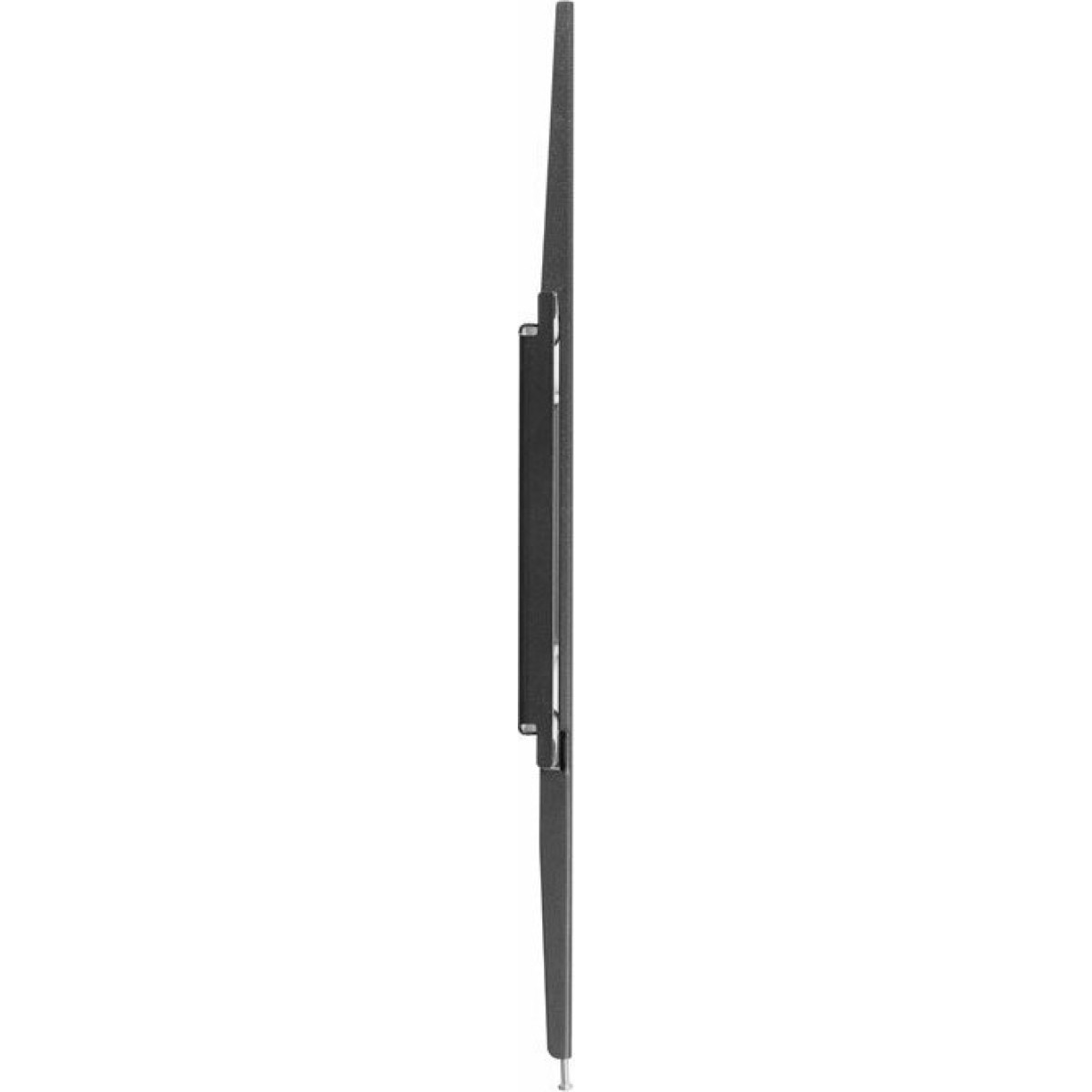 main-image