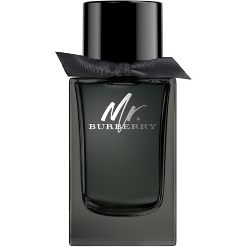 Burberry Mr. Burberry Eau de Parfum 100ml