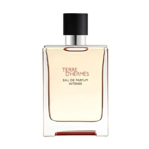 Hermes Terre D'hermès Intense Eau de Parfum 100ml